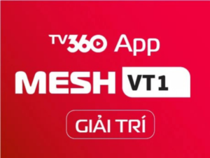 MESHVT1-GIAITRI
