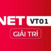 NETVT01-GIAITRI