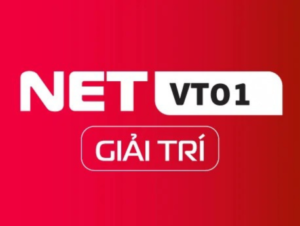 NETVT01-GIAITRI